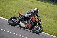 Lower Group Red Bikes
